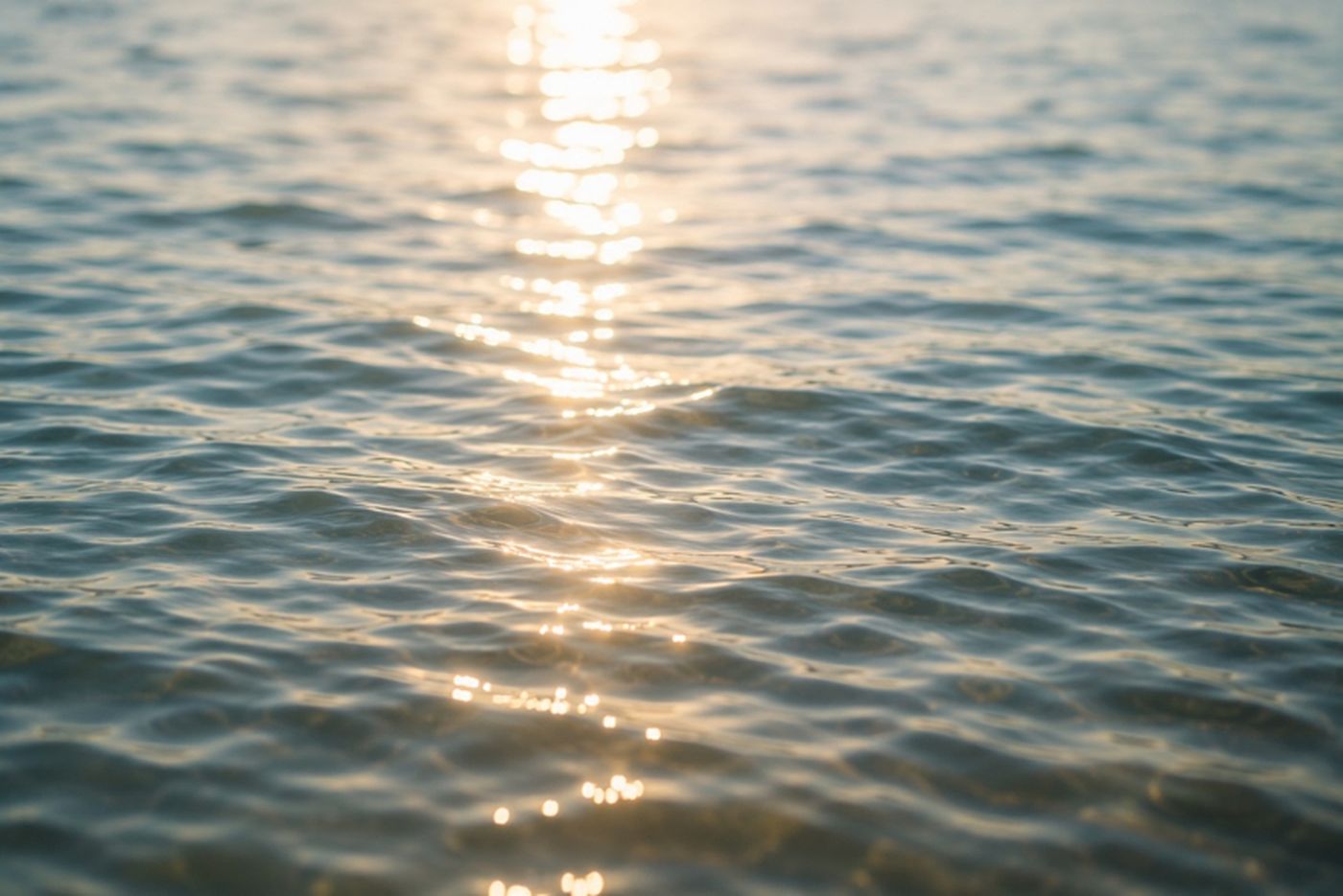 Sonnenlicht glitzert auf einer ruhigen Wasseroberfläche